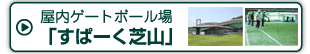 屋内ゲートボール場「すぱーく芝山」